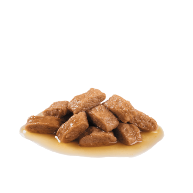 Royal Canin Medium Adult – Hrană Umedă în Sos pentru Câini Adulți de Talie Medie – 140 g